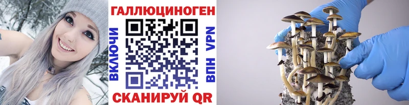 mega tor  где найти наркотики  Воронеж  Псилоцибиновые грибы MAGIC MUSHROOMS 